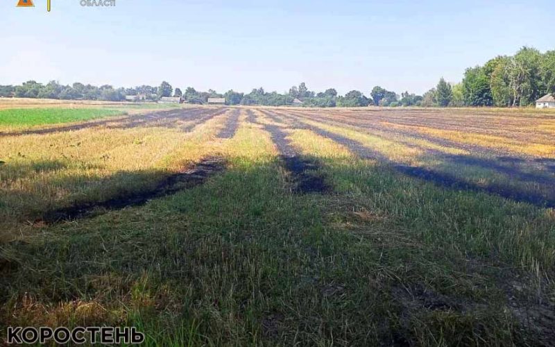 На території Народицької та Овруцької громад горіла стерня