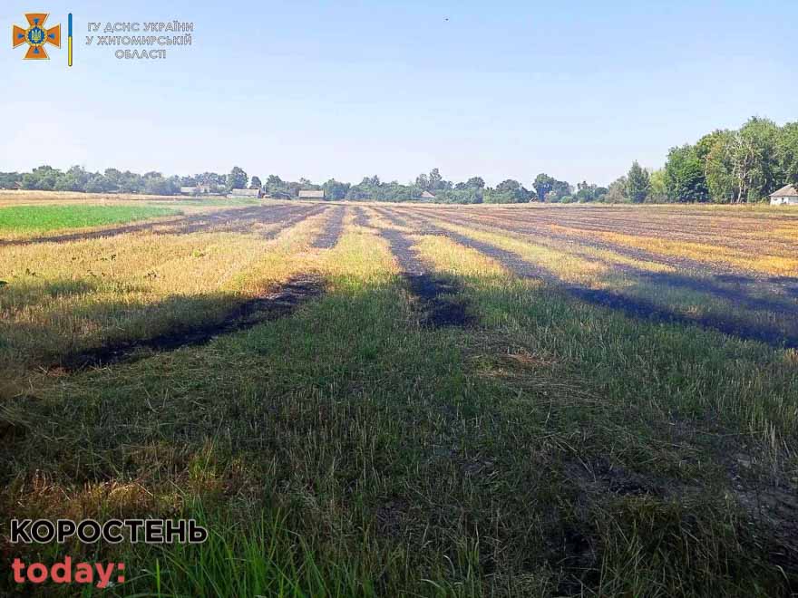 На території Народицької та Овруцької громад горіла стерня