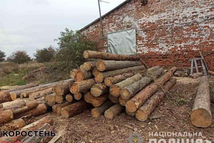 На пилорамі на території Малинщини поліцейські виявили необлікований ліс ?ФОТО