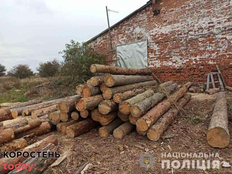 На пилорамі на території Малинщини поліцейські виявили необлікований ліс ?ФОТО
