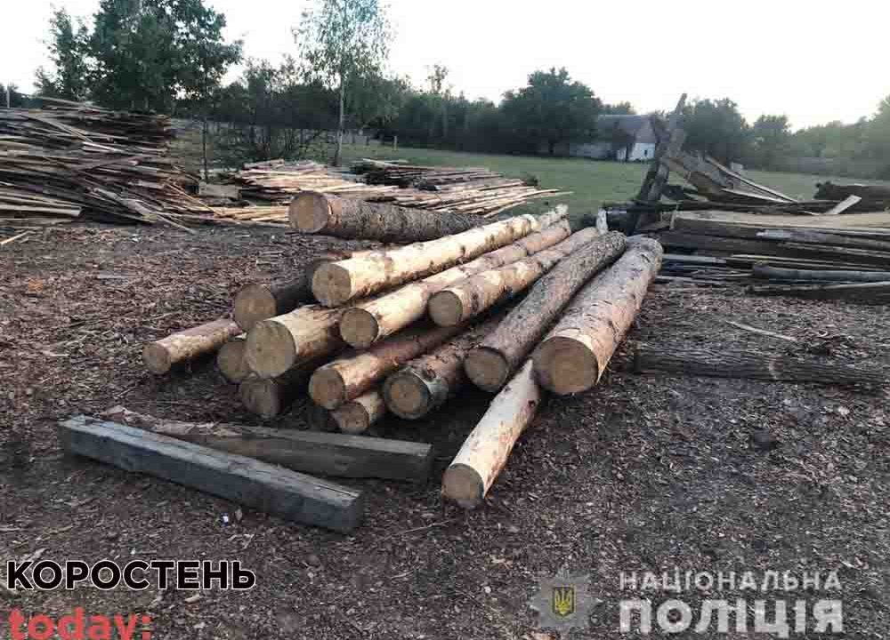В Коростенському районі викрили пилораму з нелегальним лісоматеріалом ?ФОТО