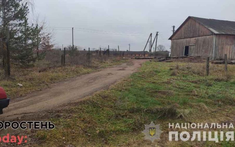 В одному із сіл Коростенського району поліцейські “накрили” нелегальну пилораму ?ФОТО