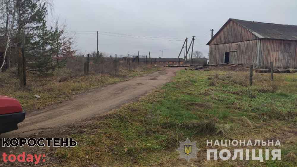 В одному із сіл Коростенського району поліцейські “накрили” нелегальну пилораму ?ФОТО