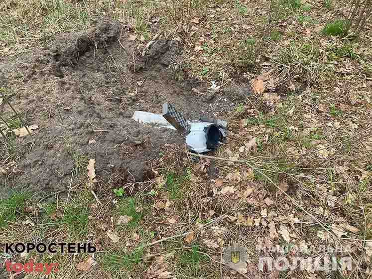 На Житомирщині знайшли в лісі крилату ракету, котра не розірвалася