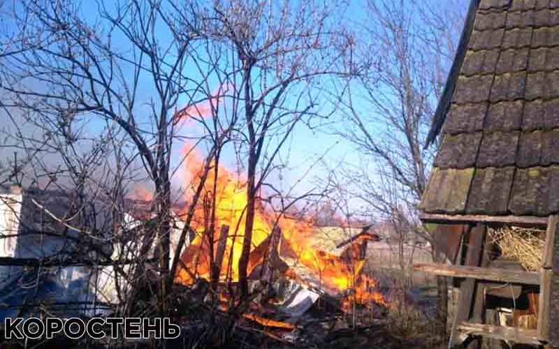 На Коростенщині вогонь із сухостою перекинувся на будинок та господарчі споруди