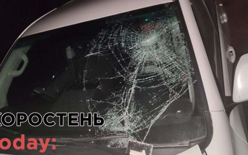 Родичі велосипедистки, яку поблизу Коростеня збив автомобіль, шукають свідків ДТП ?ФОТО