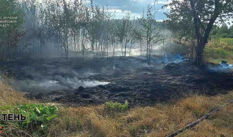 У селі Народицької громади на пасовищі рятувальники гасили займання трави