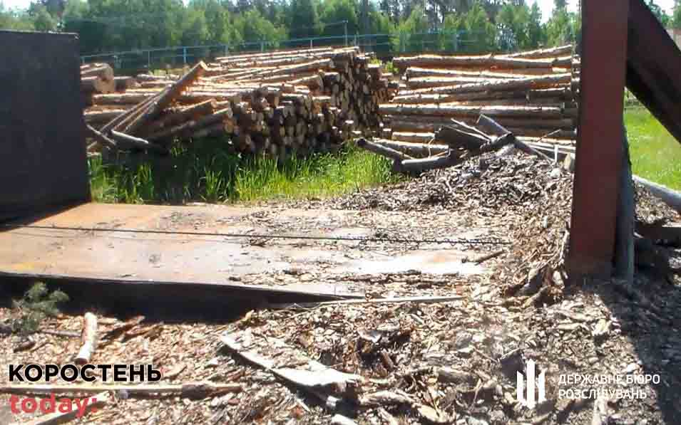 Cудитимуть слідчу Коростенського райвідділку поліції, яка допустила втрату арештованої деревини ?ФОТО