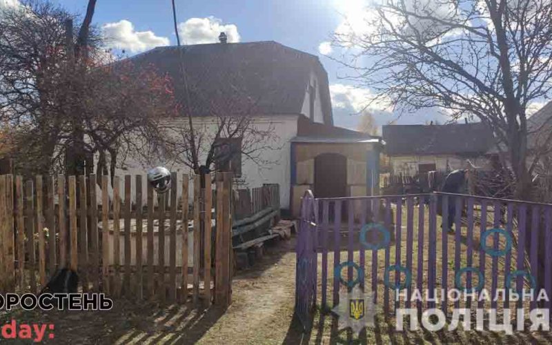 На Коростенщині п’яна донька сокирою вбила матір