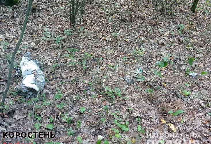 У лісосмузі Коростенського району виявили уламки ракети (ФОТО)