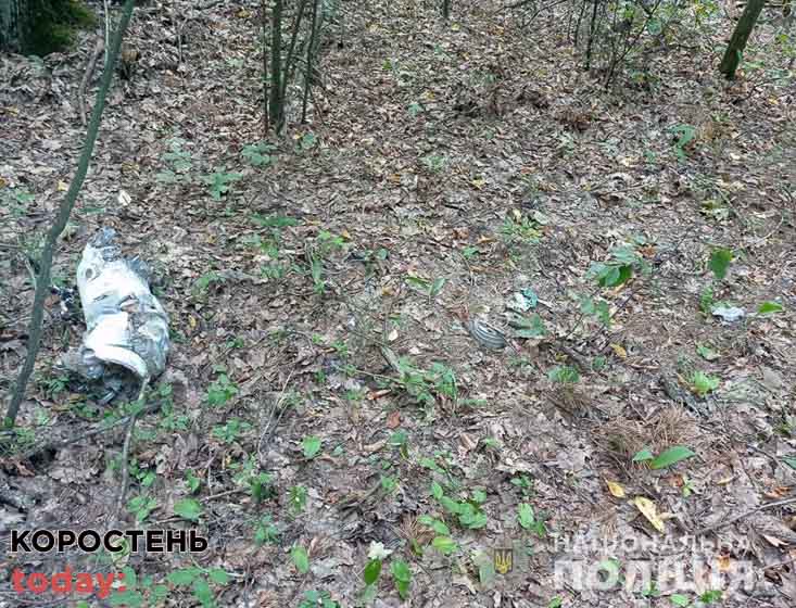 У лісосмузі Коростенського району виявили уламки ракети (ФОТО)