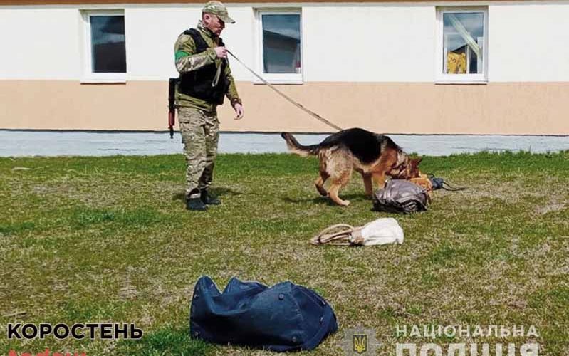 З кінологами в Житомирській області працюють 5 собак, які шукають зброю та вибухівку