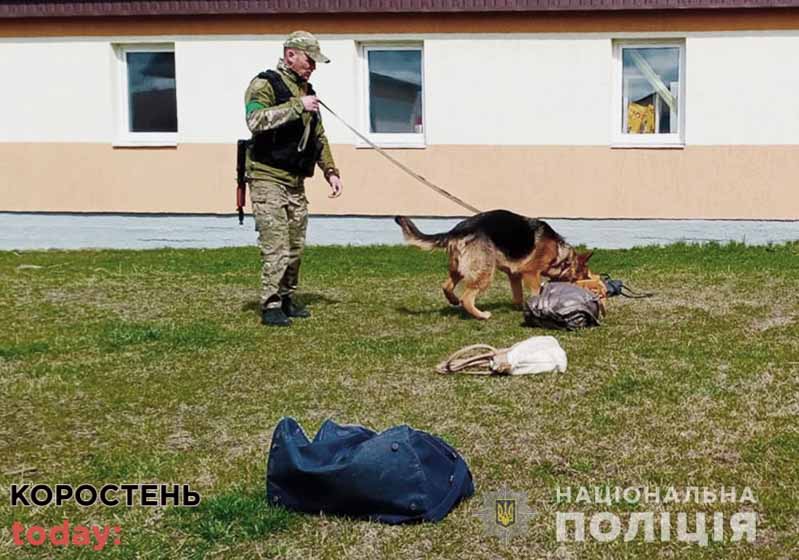 З кінологами в Житомирській області працюють 5 собак, які шукають зброю та вибухівку