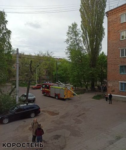 В одному з мікрорайонів Коростеня рятувальники допомогли жінці зняти з дерева кота ?ФОТО
