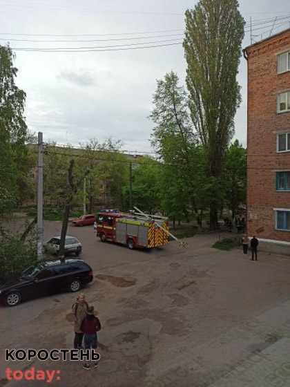 В одному з мікрорайонів Коростеня рятувальники допомогли жінці зняти з дерева кота ?ФОТО