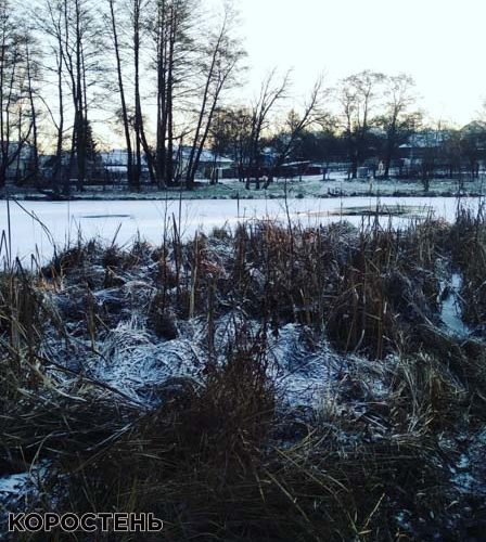 У Коростені рятувальники діставали з води пса, який провалився під лід