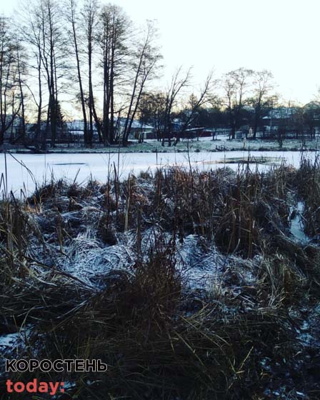 У Коростені рятувальники діставали з води пса, який провалився під лід