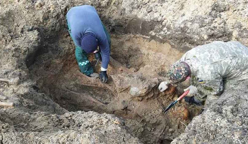 Як на Житомирщині пошуківці знаходять рештки солдат минулої війни та повертають додому