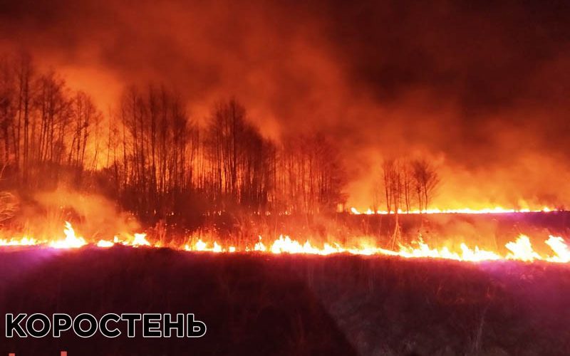 На Коростенщині вогонь з палаючої трави перекинувся на будинок ?ФОТО