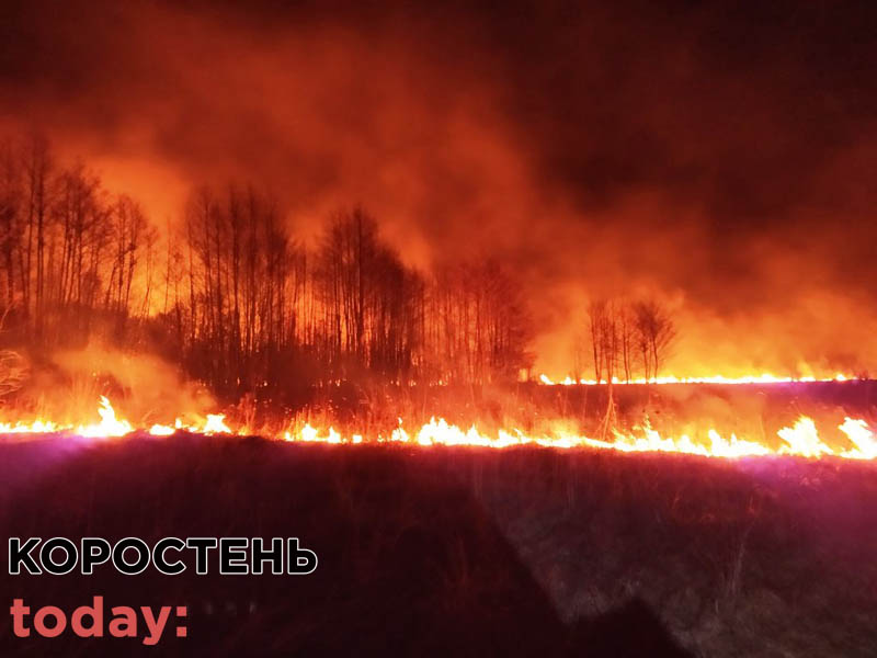 На Коростенщині вогонь з палаючої трави перекинувся на будинок ?ФОТО