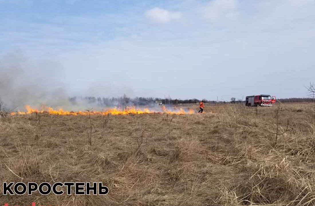 Неподалік Коростеня через загорання сухої трави ледь не згорів будинок, в якому живуть дві жінки та діти (ВІДЕО, ФОТО)