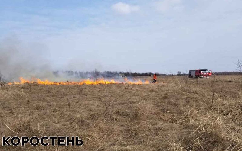 Неподалік Коростеня через загорання сухої трави ледь не згорів будинок, в якому живуть дві жінки та діти (ВІДЕО, ФОТО)