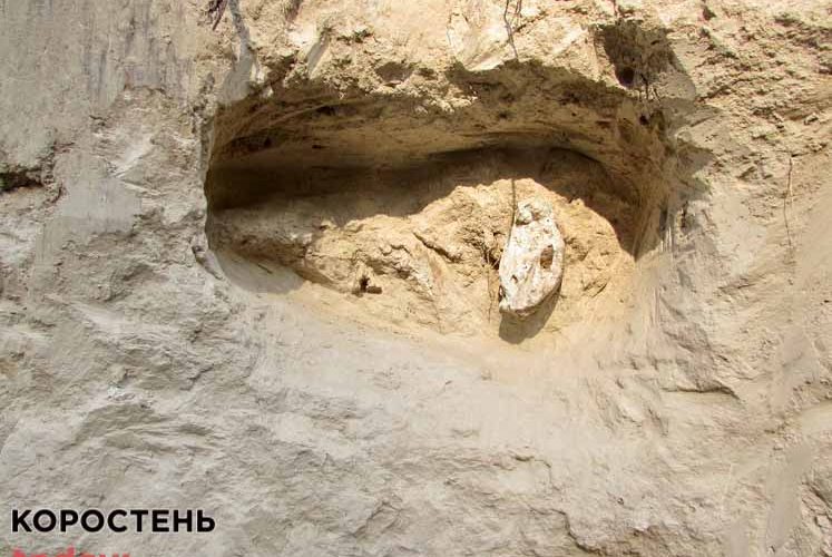 У міськраді Коростеня розповіли, коли дістануть із землі мамонта ?ФОТО