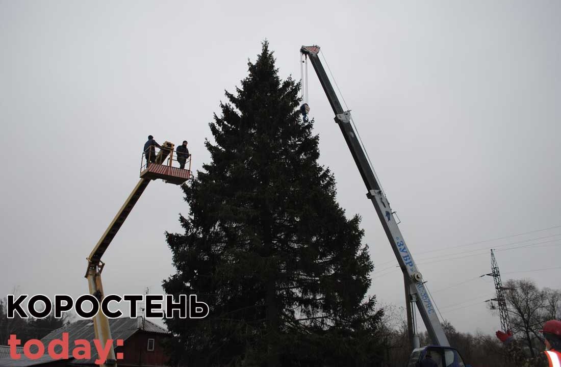 У 2020 році новорічну ялинку міськрада Коростеня купила за 10 тисяч гривень