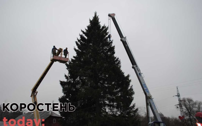 У 2020 році новорічну ялинку міськрада Коростеня купила за 10 тисяч гривень