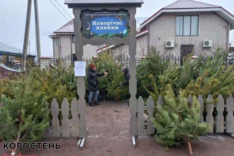 Де в Коростені працюють ялинкові базарчики ?ФОТО