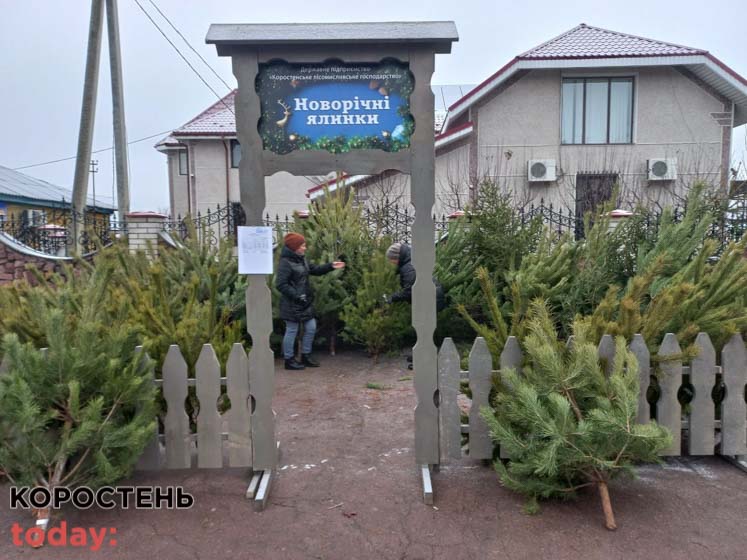 Де в Коростені працюють ялинкові базарчики ?ФОТО