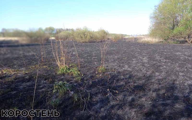 На Коростенщині через підпалену траву, селянин ледь не залишився без будинку
