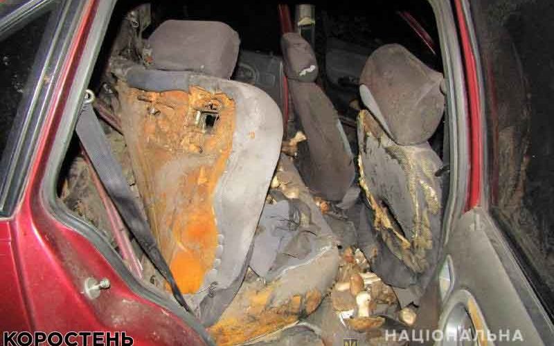На дорозі Овруч – Київ загорівся автомобіль: водій та пасажир отримали опіки ?ФОТО