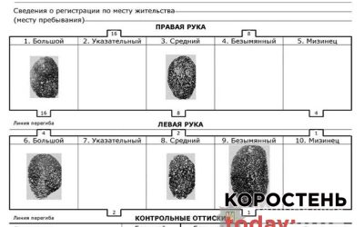 Труп у кар’єрі під Коростенем: правоохоронці встановили особу загиблого, допомоги донецькі колеги