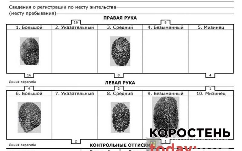 Труп у кар’єрі під Коростенем: правоохоронці встановили особу загиблого, допомоги донецькі колеги