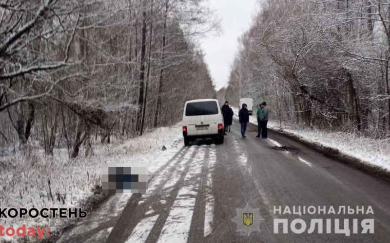 На території Малинської громади 18-річний водій буса на смерть збив пішохода ?ФОТО