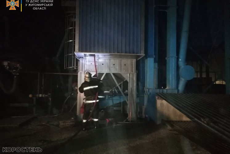 У селі на території Народицької громади в зерносушарці згоріло 5 тонн насіння соняшника
