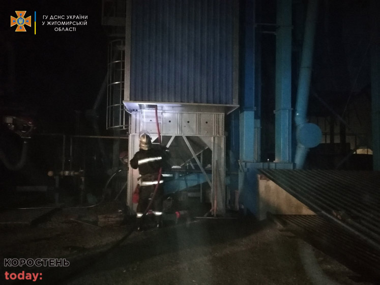 У селі на території Народицької громади в зерносушарці згоріло 5 тонн насіння соняшника