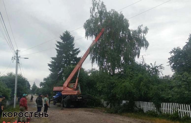 На Житомирщині через негоду без світла лишились 99 населених пунктів, а рятувальники прибирали з доріг дерева