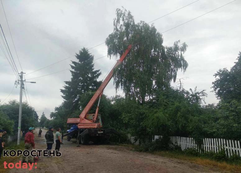 На Житомирщині через негоду без світла лишились 99 населених пунктів, а рятувальники прибирали з доріг дерева