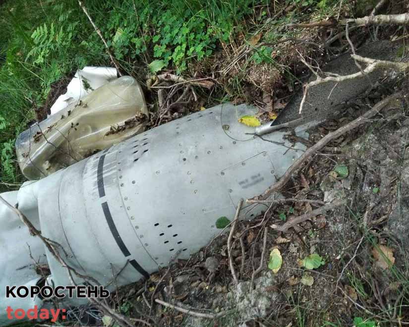 На території Коростенського лісгоспу знайшли уламки російської ракети «Калібр»