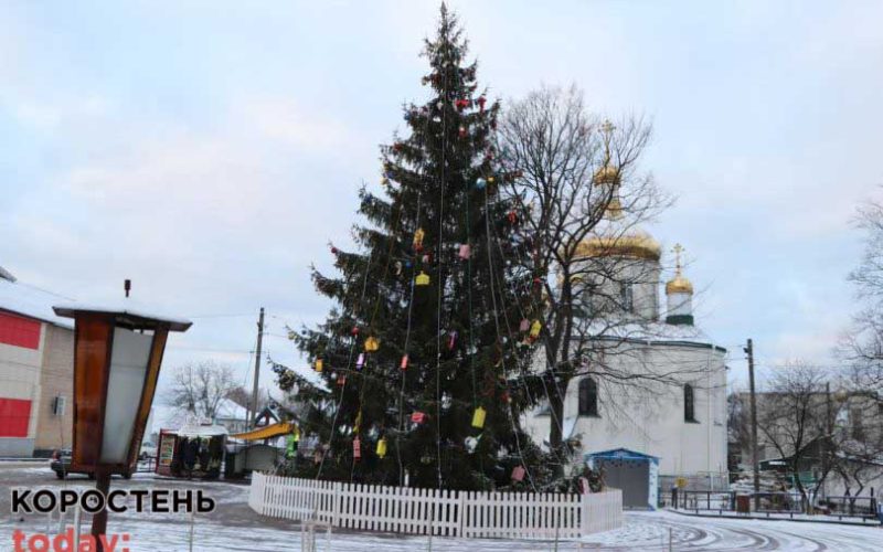 В Олевську невідомий “зніс” автомобілем паркан біля новорічної ялинки, гірлянди порізані, іграшки зірвані