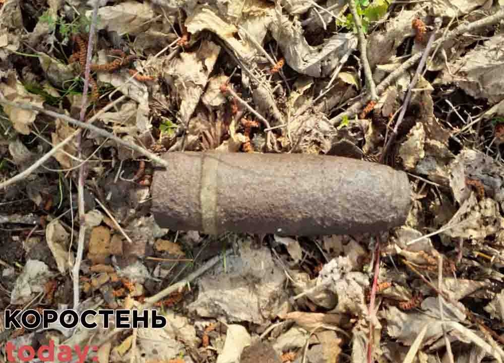 У двох селах Коростенського району мисливці за металом натрапили на боєприпаси