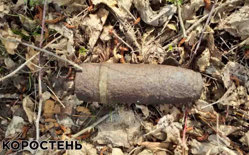 У двох селах Коростенського району мисливці за металом натрапили на боєприпаси